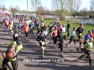 EVO-Wasserlauf 2012