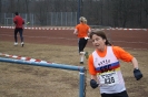 LGO Volkslauf 2012