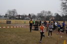 LGO Volkslauf 2012