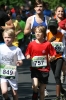 26.05.2012 - 20. Schwanheimer Pfingstlauf