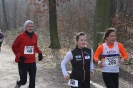 LGO-Volkslauf 2013