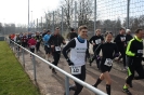 LGO-Volkslauf 2013