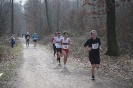 LGO-Volkslauf 2013