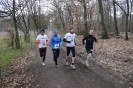 LGO-Volkslauf 2013