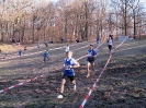 Offenbacher Suppenschüssel-Cross