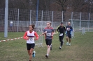 LGO-Volkslauf 2014