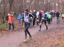 Winterlaufserie Seligenstadt