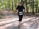 21.04.2014 - 36. Rodgauer Osterlauf