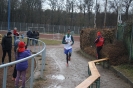 LGO-Volkslauf