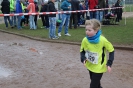 KM Crosslauf