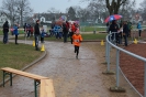 KM Crosslauf