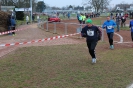 LGO-Volkslauf